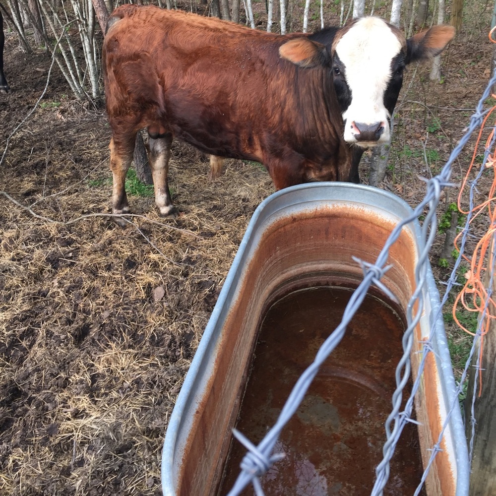 Meet your Posher, Brian